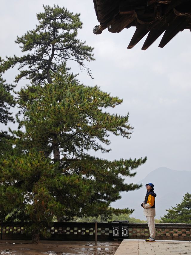 跟着悟空遊古建——二刷忻州佛光寺。