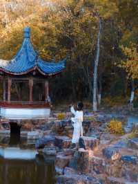 江浙滬賞秋天花板｜香山雙山兩天一日附地圖。