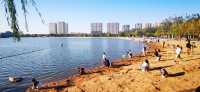 濱州市最大的公園——中海公園。