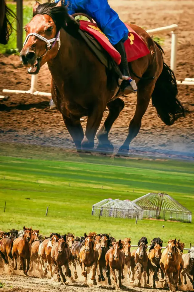 Horseback Riding in Hulunbuir | A Poetic Journey Across the Grasslands