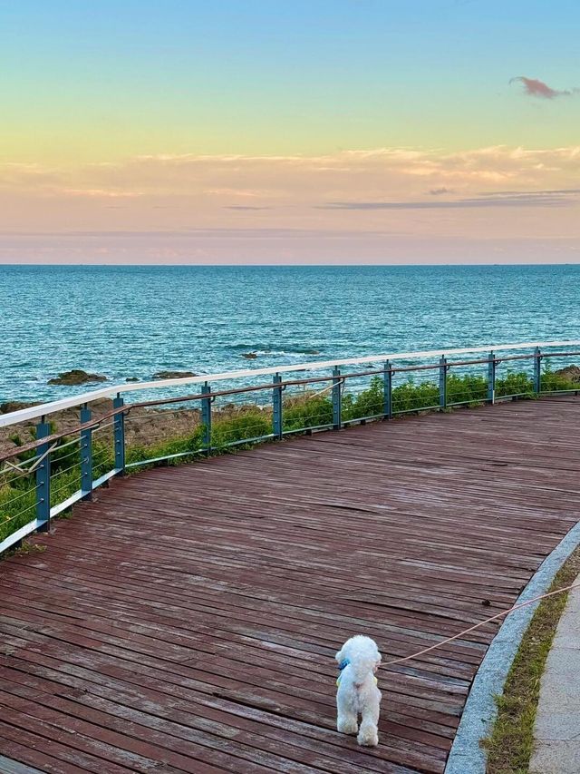 【青島連三島：海邊的美景令人羨慕不已】。