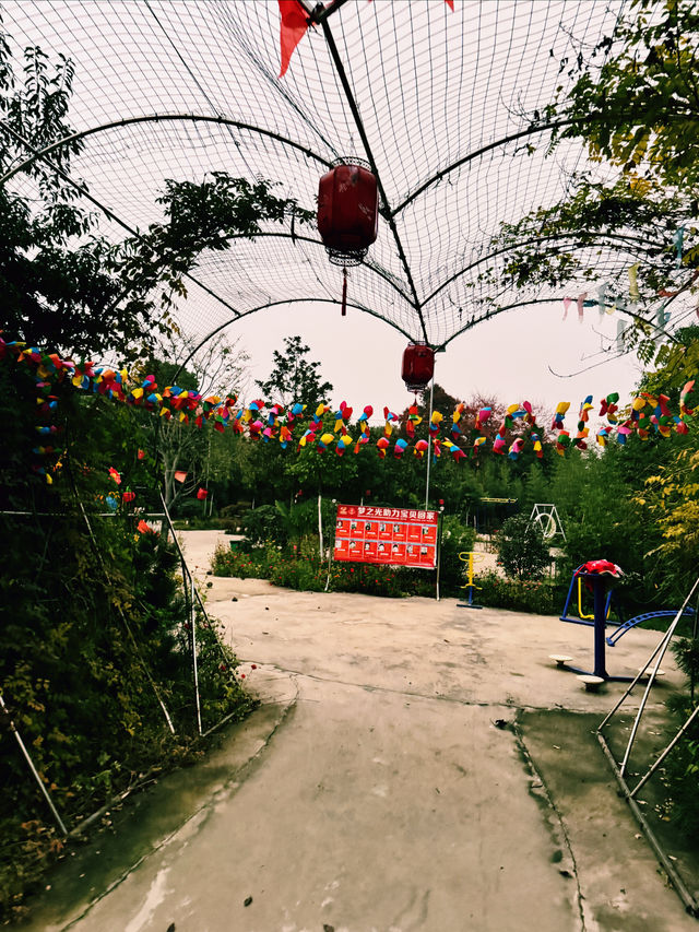 遛娃寶地——廣水夢之光生態園。