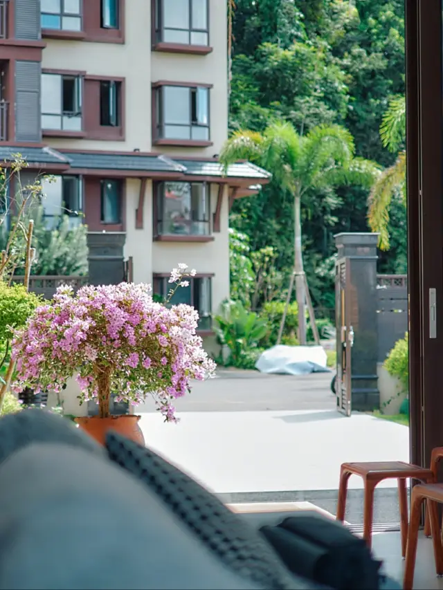 "Qingchenli Homestay: An Ideal Resting Place." 
