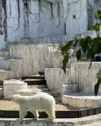 Nagoya Travel Guide: Higashiyama Zoo and Botanical Gardens