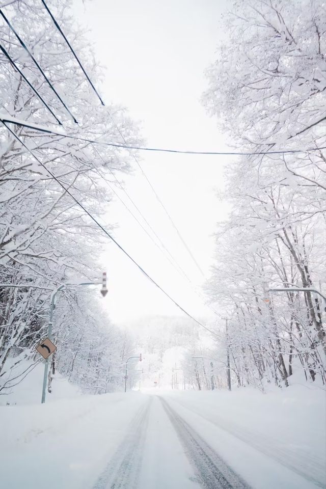Winter in Hokkaido truly fulfills all your snowy dreams