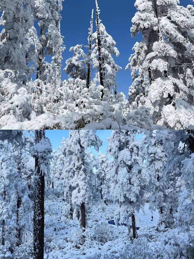 【探秘四川瓦屋山】 一場自然與歷史的盛宴！。