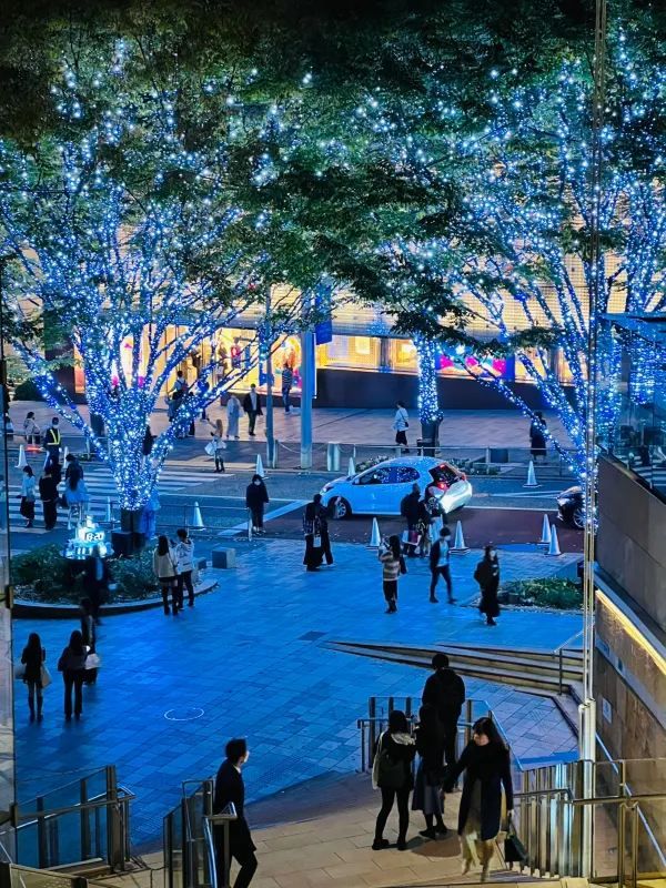 Roppongi Christmas 2022 has begun