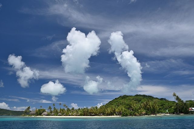 愛上大溪地的每一寸土地。