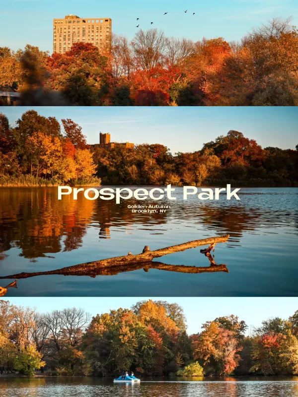 Experience the Golden Autumn at Prospect Park