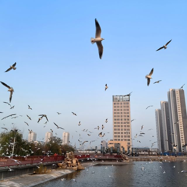 路過黃驊。