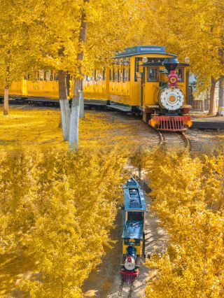 Don't miss the beautiful ginkgo village and the thousand-year-old ginkgo trees. 