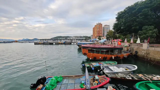 สวัสดีเช้าวันใหม่ที่ไซกุง พร้อมเริ่มต้นการเดินป่า