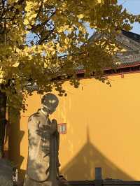 報國寺。
