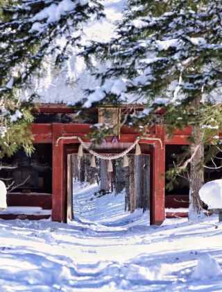 Compared to Hokkaido, I prefer the lesser-known destination of Nagano...