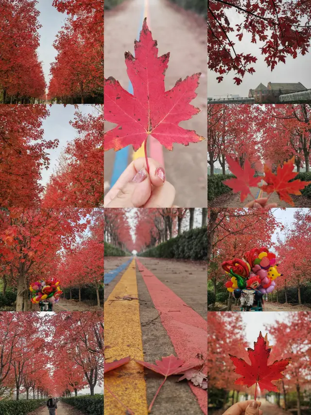 ทริปเที่ยววันเดียวชิมปูที่ทะเลสาบหยางเฉิง