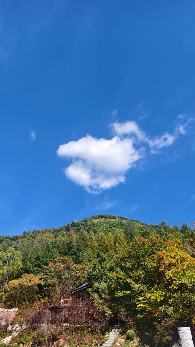 【秘境尋幽·蒲石河森林公園探幽記】