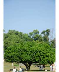 紅花山公園｜不出片可能是缺個攝影師。