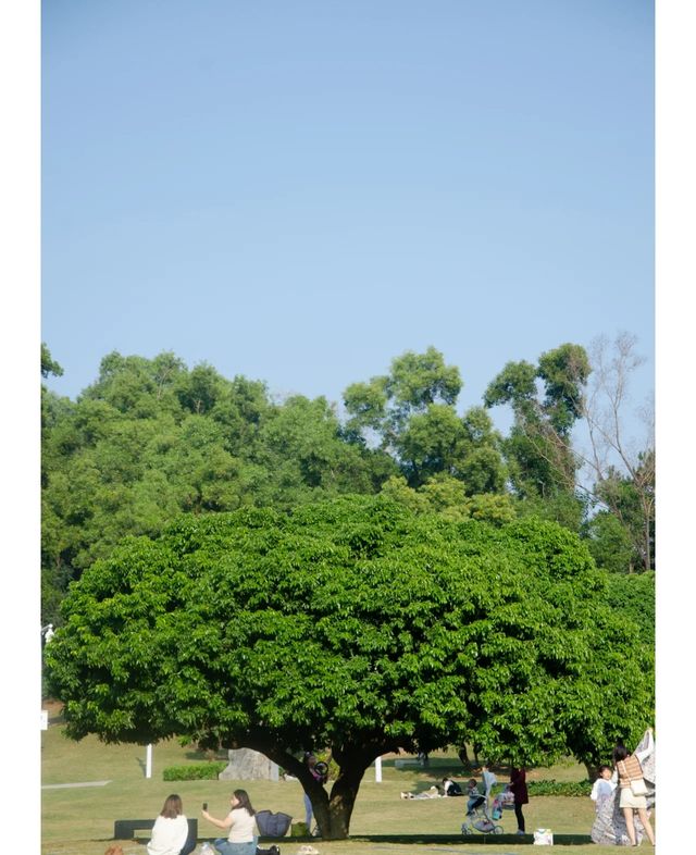 紅花山公園｜不出片可能是缺個攝影師。
