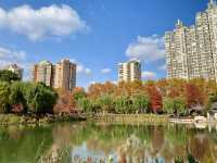 上海，和平公園