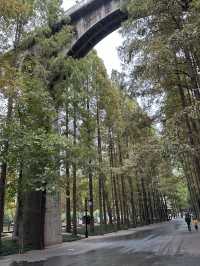 湖北第一古剎———玉泉寺
