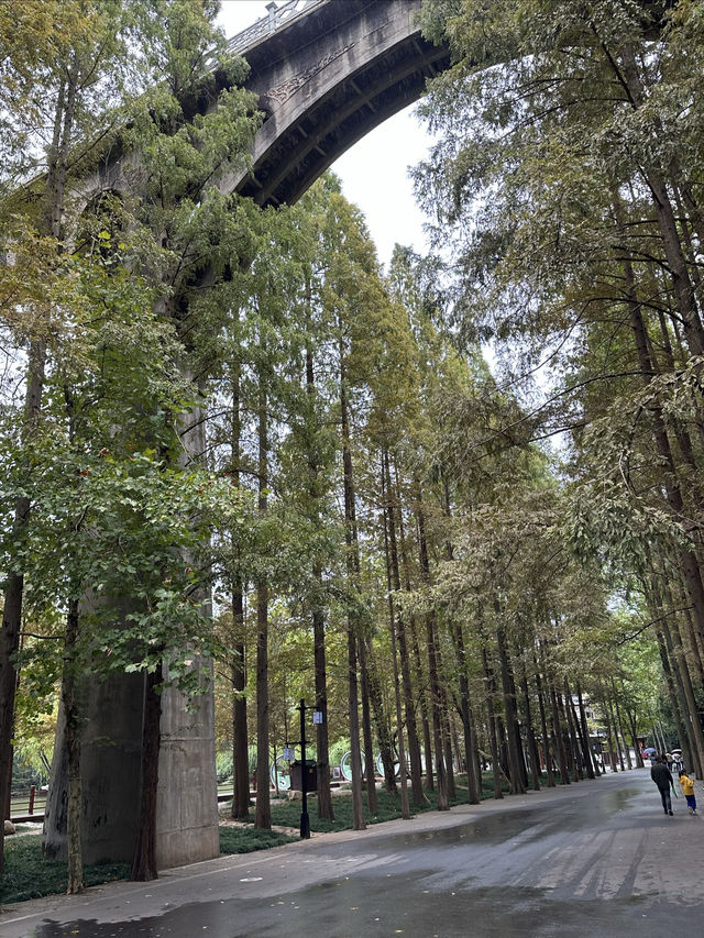 湖北第一古剎———玉泉寺