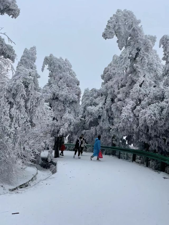 廣東出發3大賞雪寶藏城市！快記下！