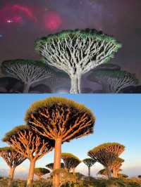 塞爾達現實版，地球上最像外星的島