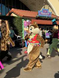 A Day at California Disneyland: 16 Rides and More!