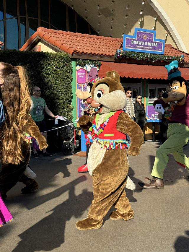 A Day at California Disneyland: 16 Rides and More!