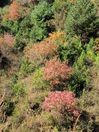 秦嶺峽口紅葉感受大自然的鬼斧神工