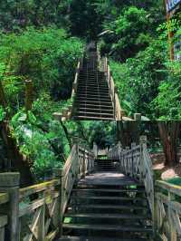 行山不一定要辛苦嗎?|良鳳江森林公園