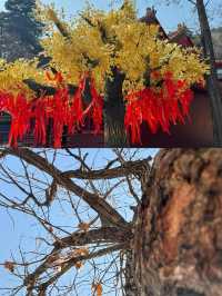 錦州青岩寺，挑戰1407階的虔誠之旅