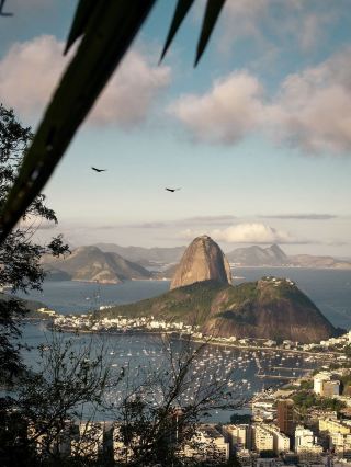 4 Days in Brazil: Explore the Passionate Paradise of South America
