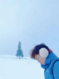 北海道的雪都是自帶浪漫屬性 ❄️