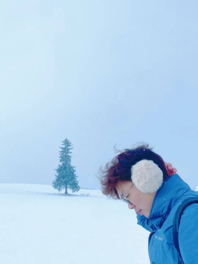 北海道的雪都是自帶浪漫屬性 ❄️