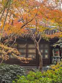 魔都覓秋|桂林公園斑斕美如畫