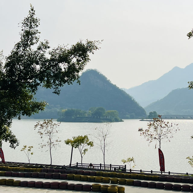 打卡清遠天鵝湖