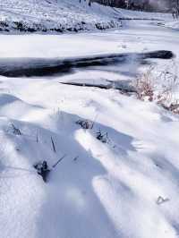 哈爾濱一處小公園的雪景竟然如此出片