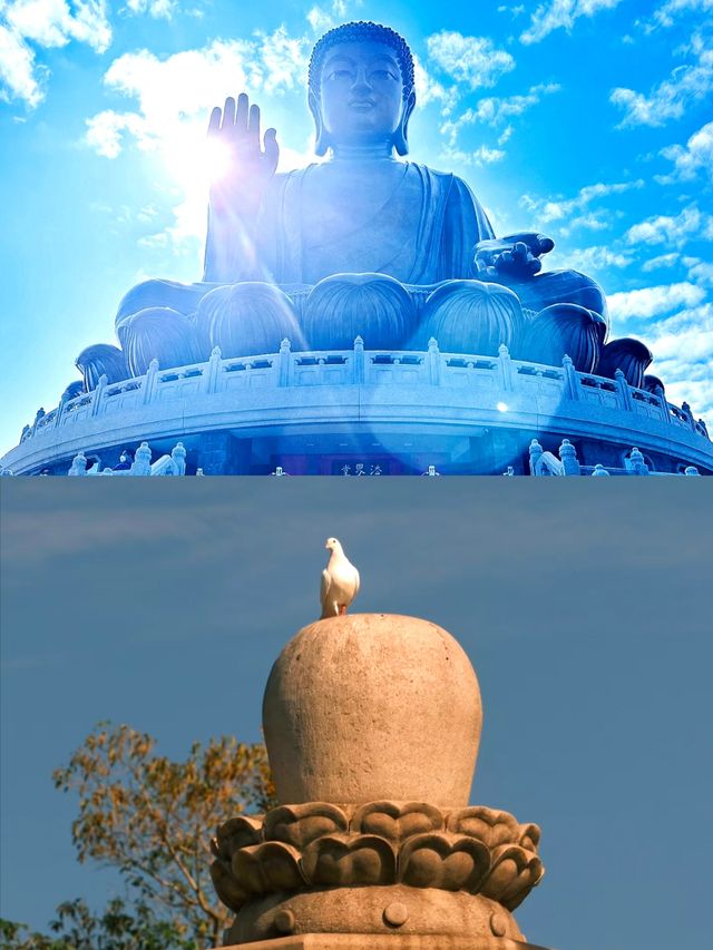 香港大嶼山大佛大嶼山