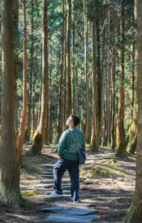 不愧是「廣西版小瑞士」，玉林大容山美得令人驚嘆