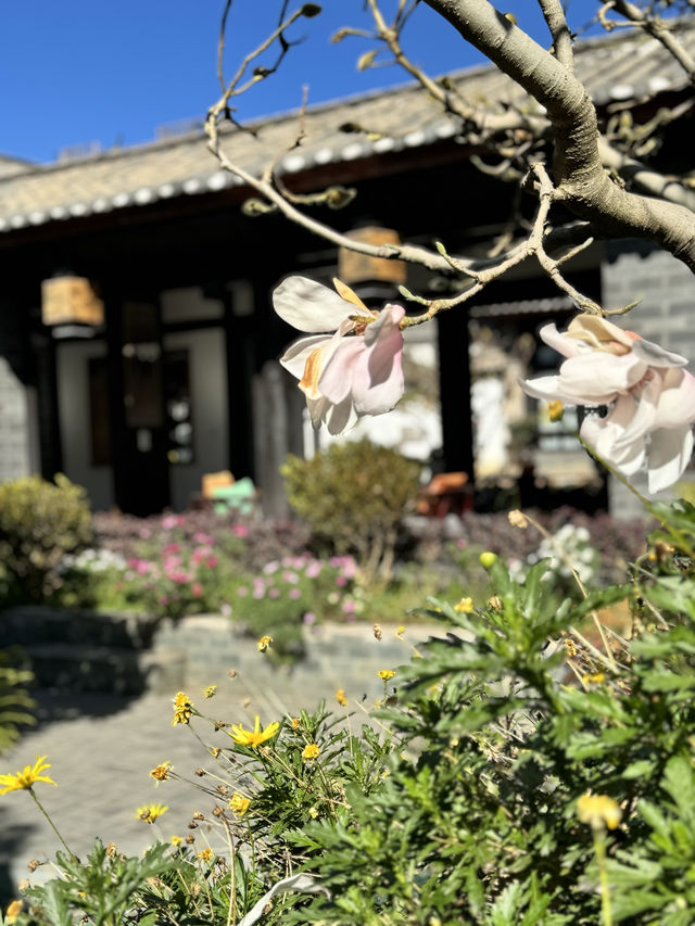 來麗江，住這樣的民宿，反正我滿足了