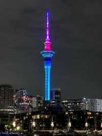 Auckland New Year Celebration