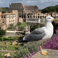 Rome: Where History Comes Alive