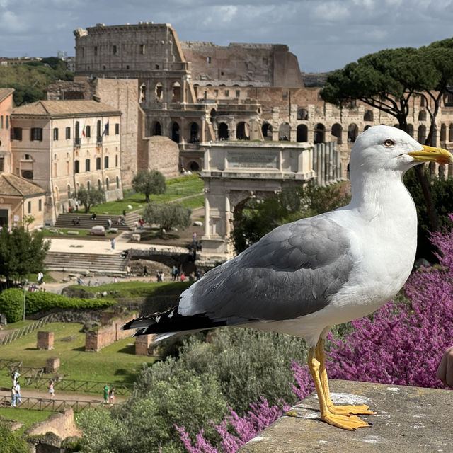 Rome: Where History Comes Alive