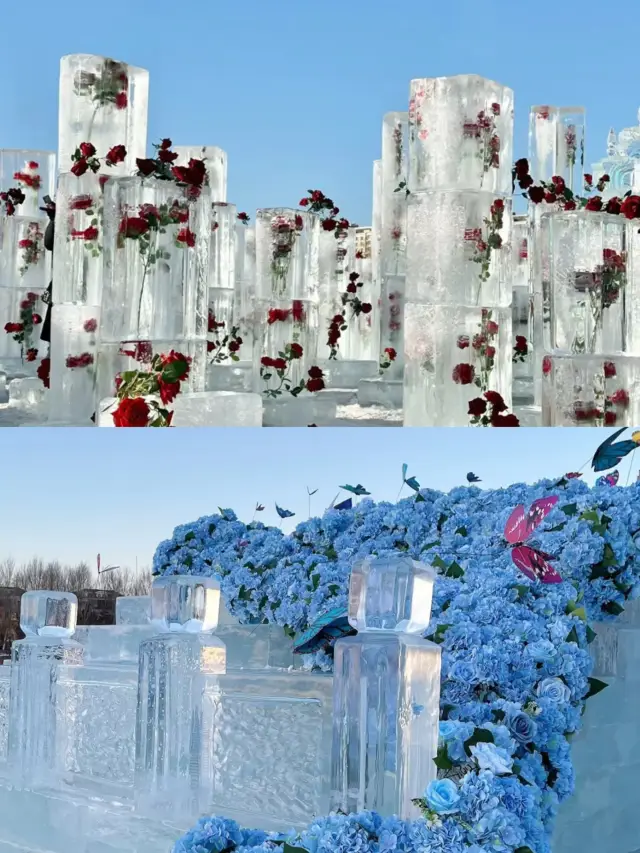 Meet the 10,000-meter ice river, blue ice diamond sea, and frozen rose (Nanxi) 