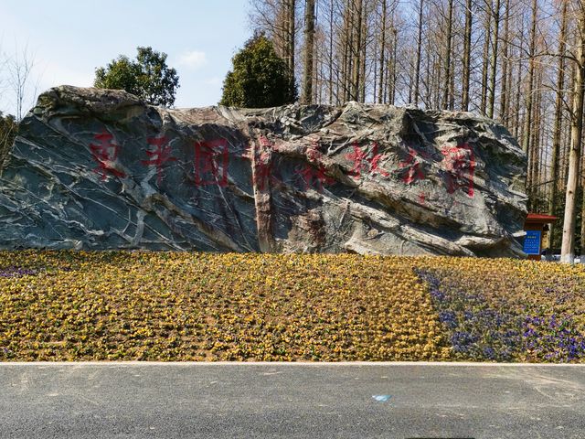 置身於綠色的海洋~~東平國家森林公園