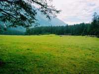 Yak Meadow: The True Tranquility, Feeling of Nirvana State