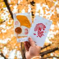 地鐵直達｜滿園金色，寶輪寺的銀杏黃了❗️||屬於重慶的冬日氛圍感已經拉滿
