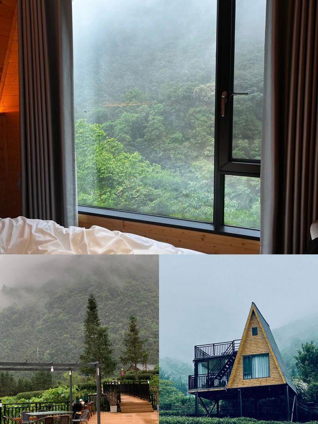 齊雲谷民宿-旅途中的家