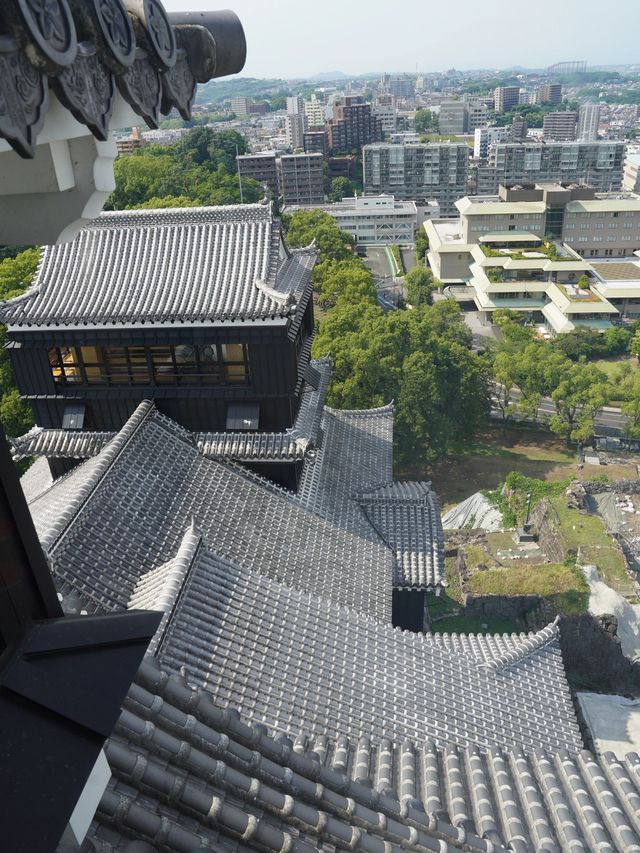 過年去日本 驚艷你的旅行體驗